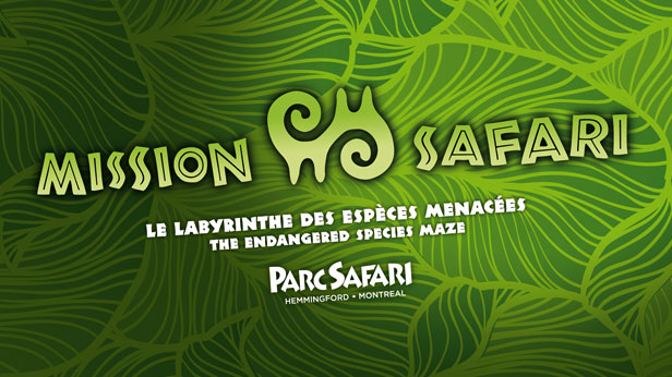 Mission Safari